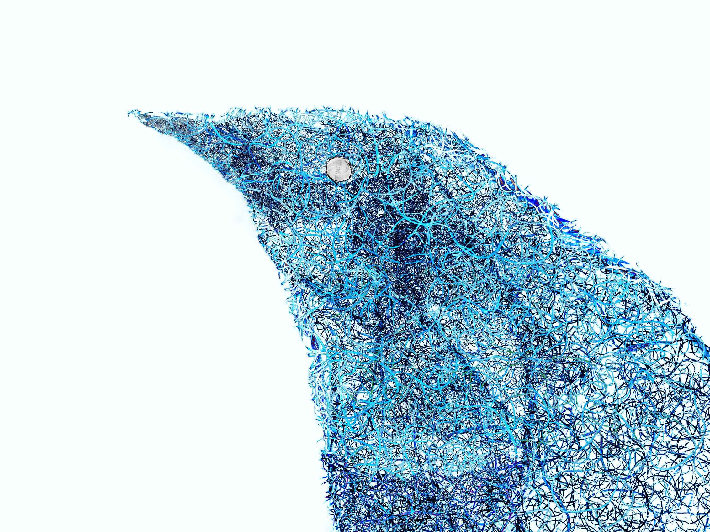 Atsushigraph Graphic Arts Bluebird