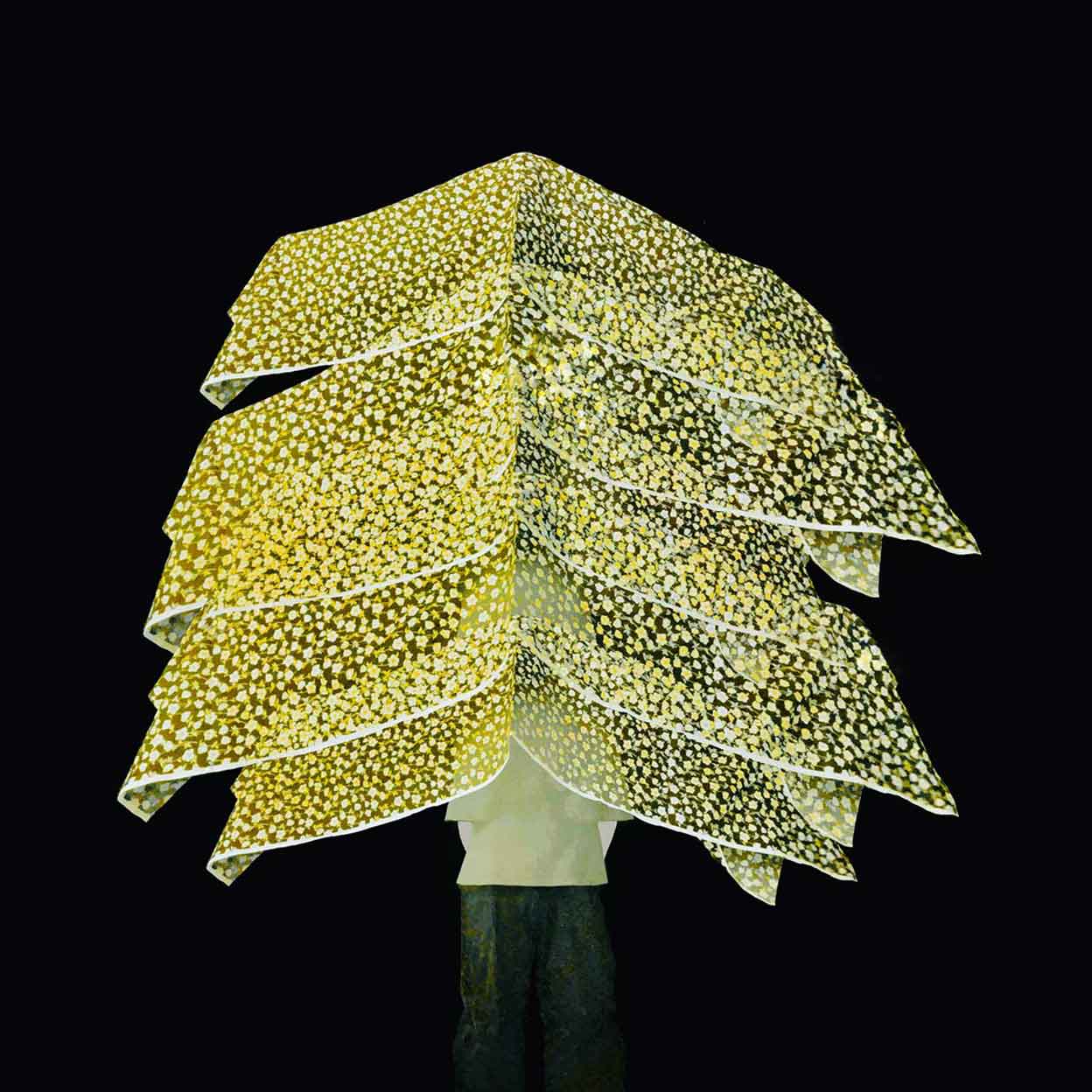 Umbrella Atsushigraph